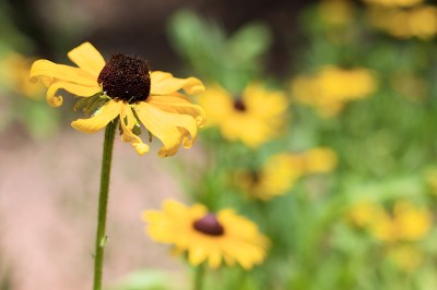 3700684794_8a51f61228_o