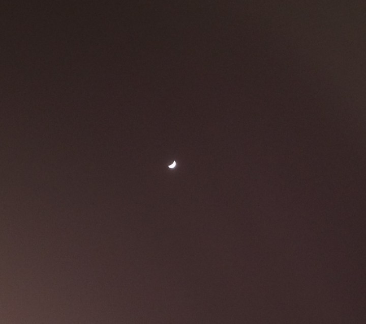 All photos by A.D. Joyce